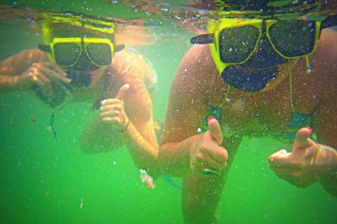 Shell Island Snorkel and Dolphin Catamaran Cruise With Island Time - Dolphin Sightings and Activities