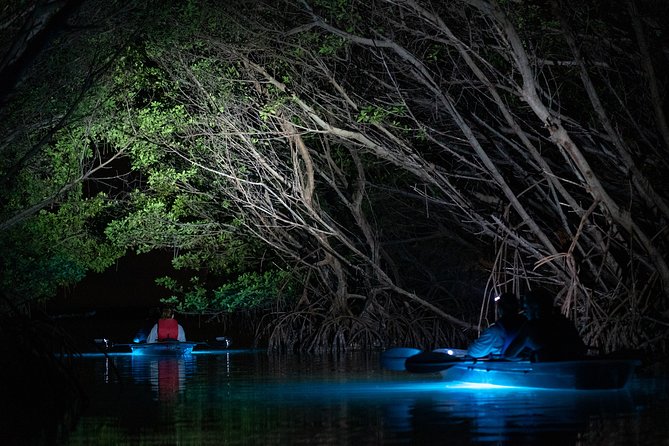 Shell Key Clear Kayak Glow in the Dark Tour - Preparing for the Glow-in-the-Dark Tour