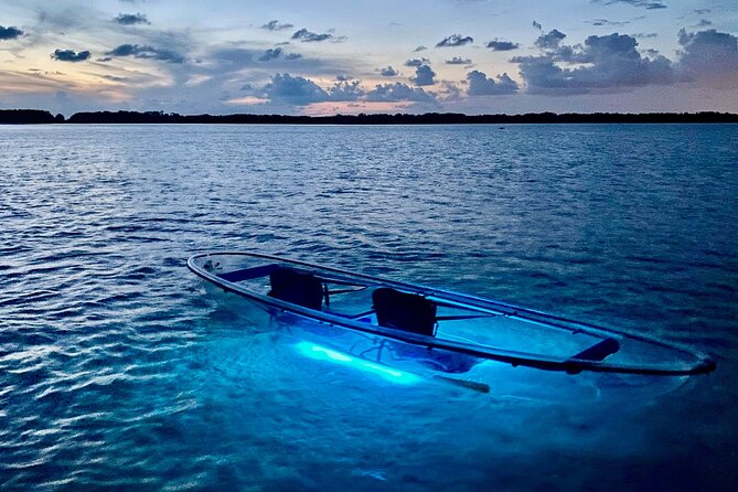 Shell Key Clear Kayak Glow in the Dark Tour - Stunning Nature and Unique Perspective