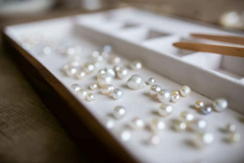 Shell to Showroom - Sydney's only Pearl Farm Experience - Key Points