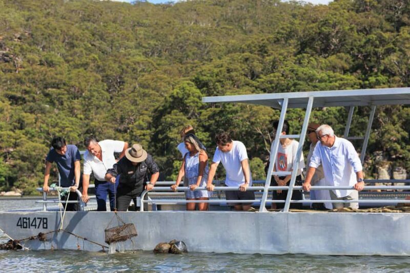 Shell to Showroom - Sydney's only Pearl Farm Experience - The Experience: What to Expect