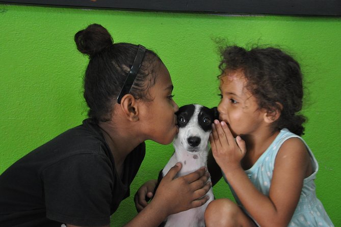 Shelter Visit & Tour - Shelters Assistance and Outreach