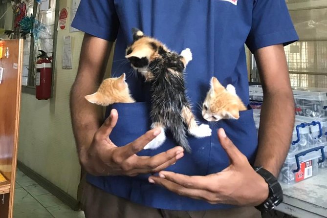 Shelter Visit & Tour - Tour Schedule and Inclusions