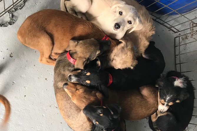 Shelter Visit & Tour - Contact Information and Directions