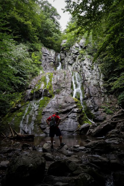 Shenandoah National Park: Private Day Tour - Guided Tour Details