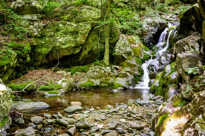 Shenandoah National Park Self-Driving Audio Tour - Rave Reviews for the Perfect Narrator