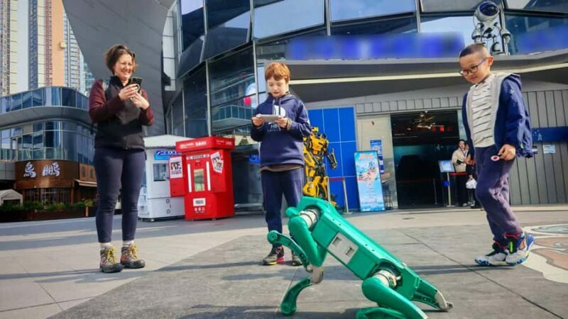 Shenzhen: Hands-On Robotics Experience - Robot Dogs & AI Art - An In-Depth Look at the Shenzhen Robotics Tour