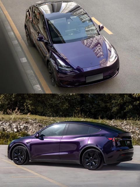 Shenzhen: VIP Airport Transfer To/From Downtown With Tesla - Waiting Times and Charges