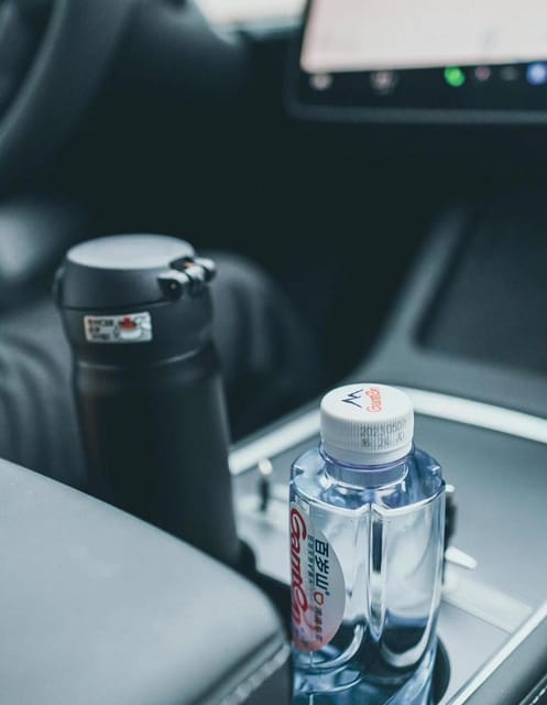 Shenzhen: VIP Airport Transfer To/From Downtown With Tesla - Shenzhen Baoan International Airport (SZX)