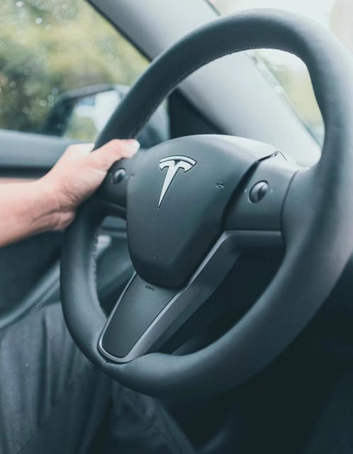 Shenzhen: VIP Airport Transfer To/From Downtown With Tesla - Downtown Shenzhen Transfer