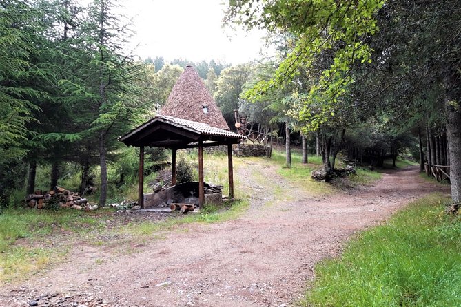Shepherds' Tracks Through Forests and Natural Springs - Exploring the Shepherds Tracks