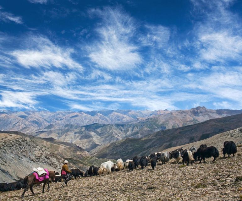Shey Phoksundo Lake Trek - Key Points