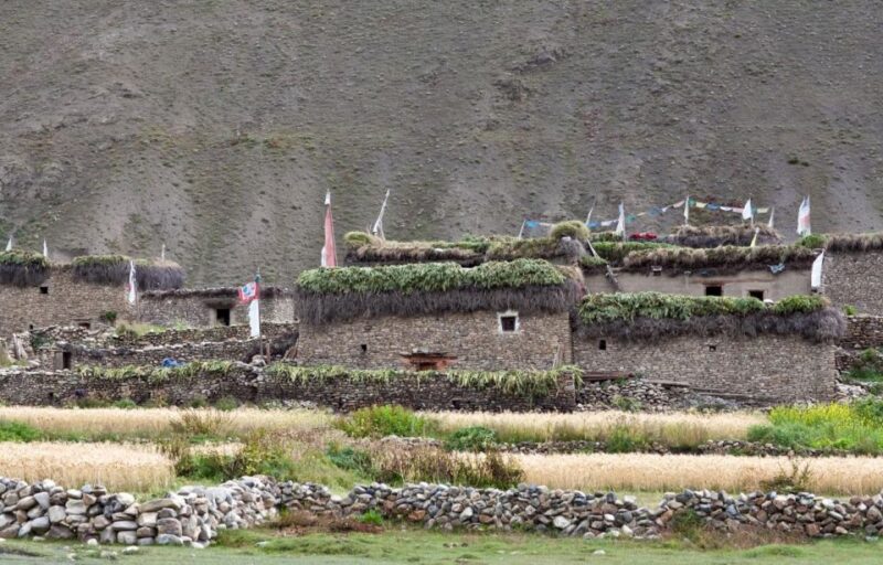 Shey Phoksundo Lake Trek - Inclusions and Services