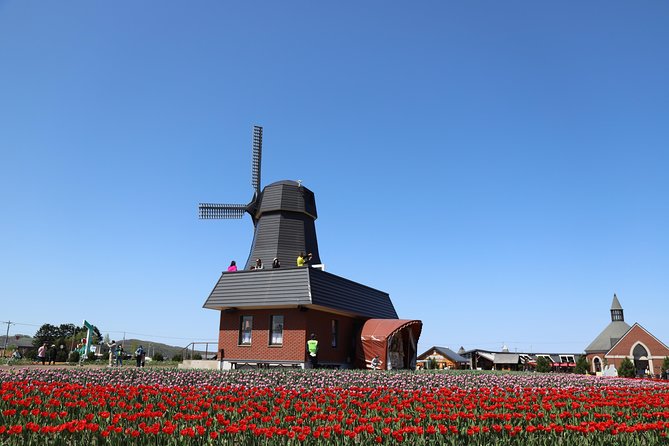 [Shibazakura / Tulip] Going by Private Car, Shibazakura Takinoue Park and Kamiyubetsu Tulip Park (From Sapporo) - Pickup and Meeting Point