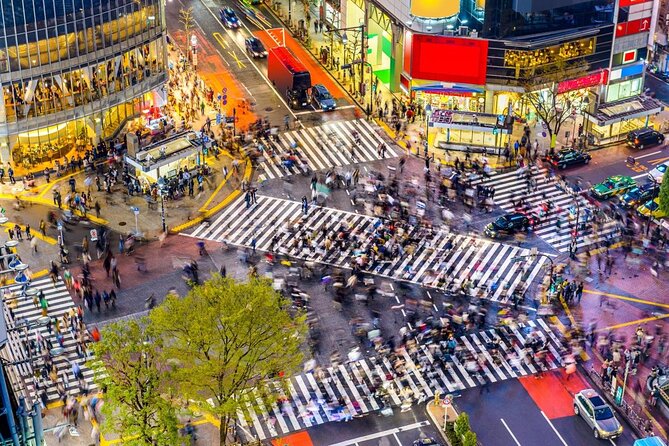 Shibuya: All You Can Eat - Best Food Tour in Tokyo - Key Points