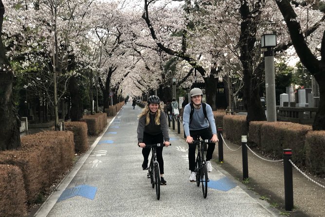 Shibuya Cycling Cruise - Bicycle and Equipment