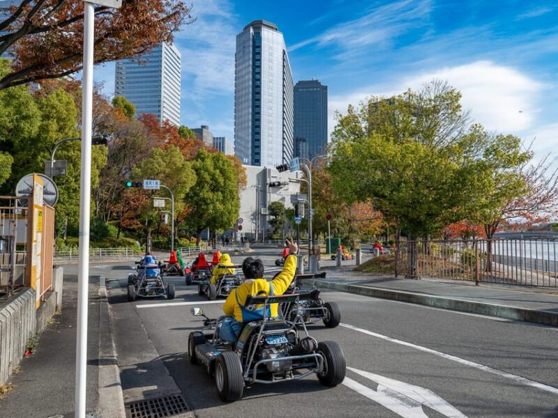 Shibuya Go Karting Tour With Funny Costume - Rental Gear and Equipment