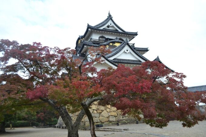 Shiga Audio Guide: The Majestic Lake Castle - Hikone Castle - Frequently Asked Questions
