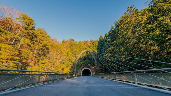 Shiga: Miho Museum, Lake Biwa & Waterbird Shrine Day Trip - Itinerary and Drop-off Locations