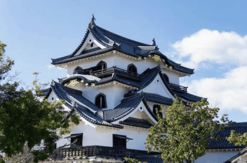 Shiga Private Day Tour - Key Points