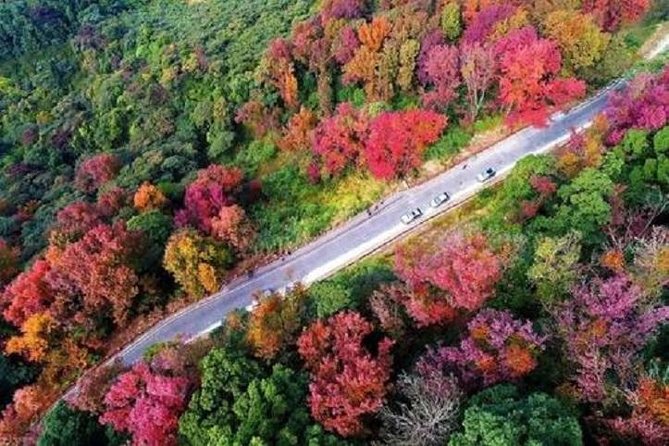 Shimen National Forest Park & Conghua Hot Spring Private Day Tour - Park Highlights