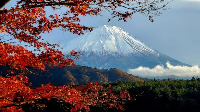 Shimizu Port: Mount Fuji Private Tour - Key Points