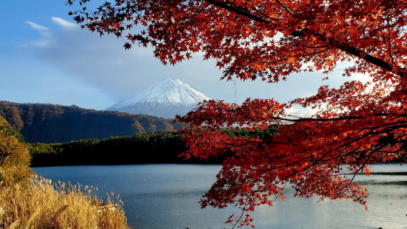 Shimizu Port: Mount Fuji Private Tour - Itinerary Highlights