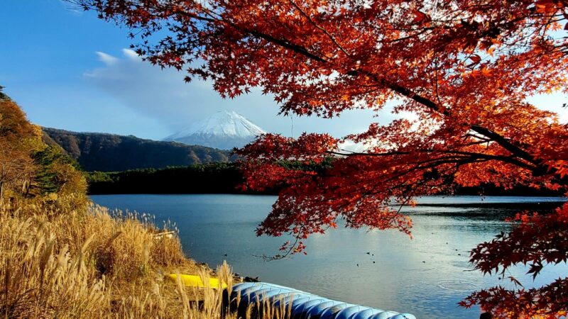 Shimizu Port: Mount Fuji Private Tour - Inclusions and Amenities