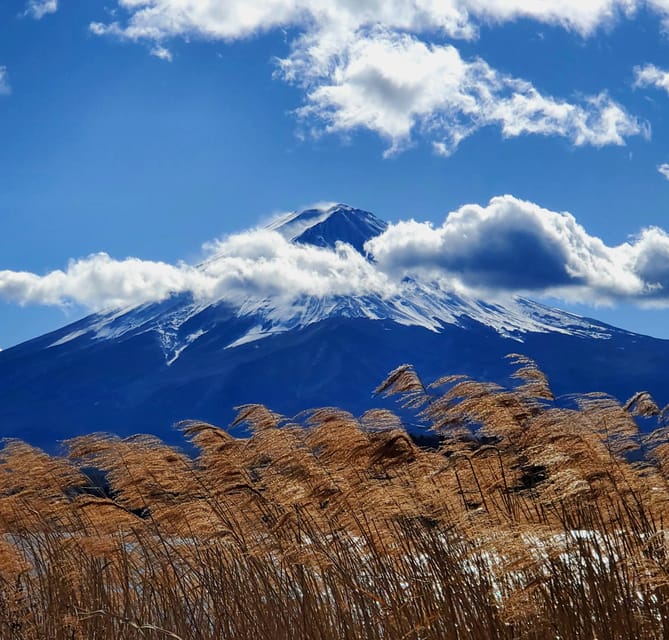 Shimizu Port: Mount Fuji Private Tour - Lake Kawaguchi: Boat Ride or Cruise Options