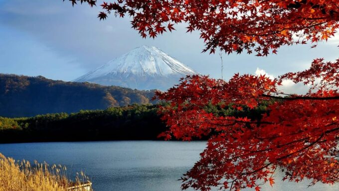 Shimizu Port: Mount Fuji Private Tour - Important Information