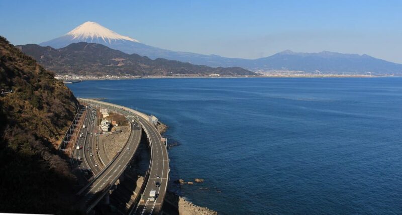 Shimizu & Shizuoka Enjoyable Tour From Shimizu Port - Key Points