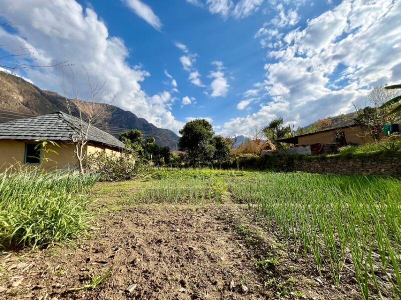 Shimla: 3-Days Village Homestay Experience-with Local Guide - Accommodation and Meals