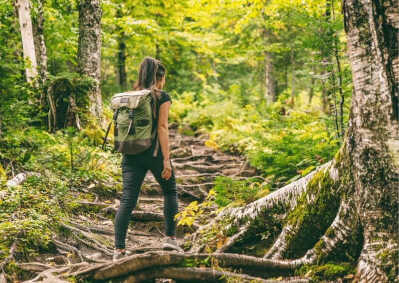 Shimla Nature Walk (3 Hours Guided Trekking Experience) - Customer Ratings and Feedback