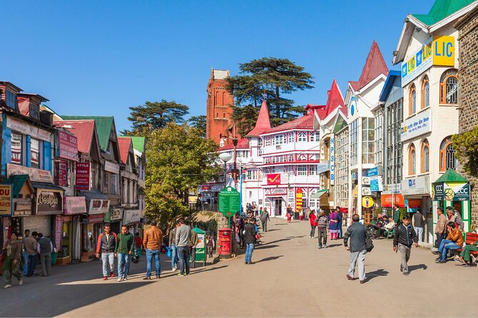 Shimla : Private Custom Tour With a Local Guide - Meeting and Pickup Details
