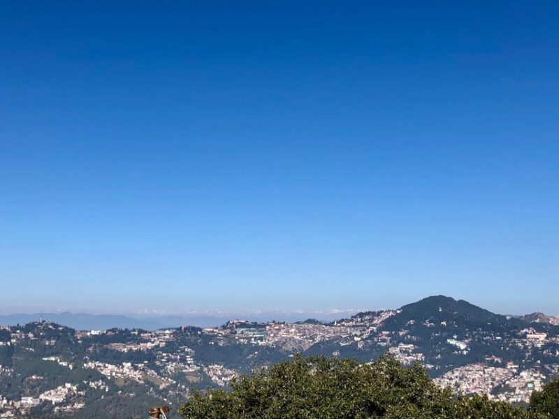 Shimla: Temples Tour With Full Day Local Driver Guide - Customer Reviews