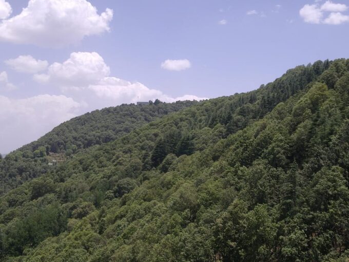 Shimla: Temples Tour With Full Day Local Driver Guide - Key Stops