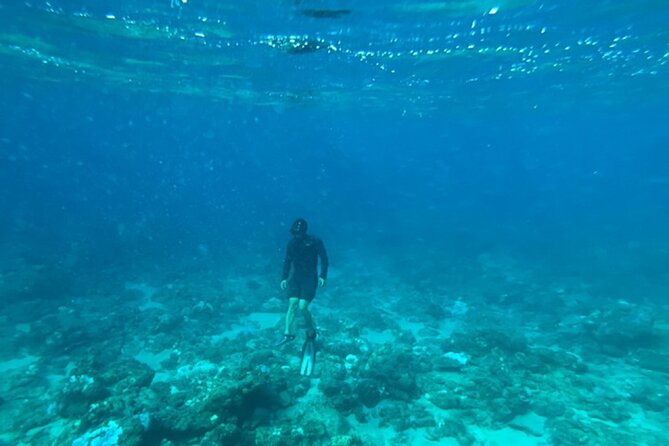 Shimoda Local Guide - Outfitting for Water Activities