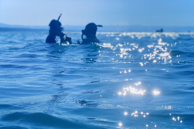 Shimoda Local Guide - Accessibility and Health Considerations