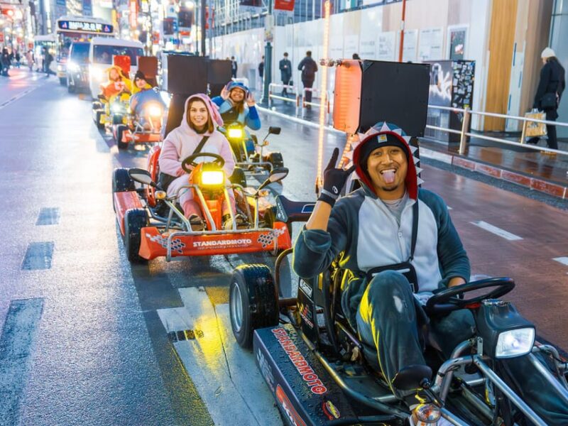 Shinjuku Go Karting Tour With Funny Costume - Key Points