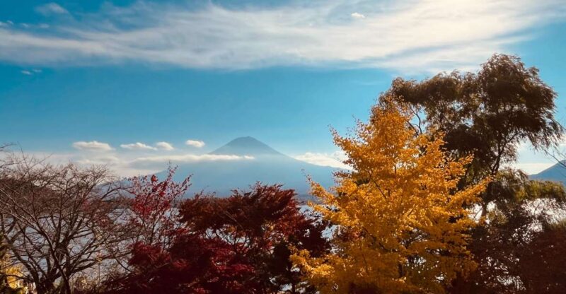 Shinjuku: Mount Fuji Panoramic View and Shopping Day Tour - Itinerary