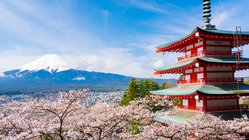 Shinjuku: Mount Fuji Panoramic View and Shopping Day Tour - Inclusions