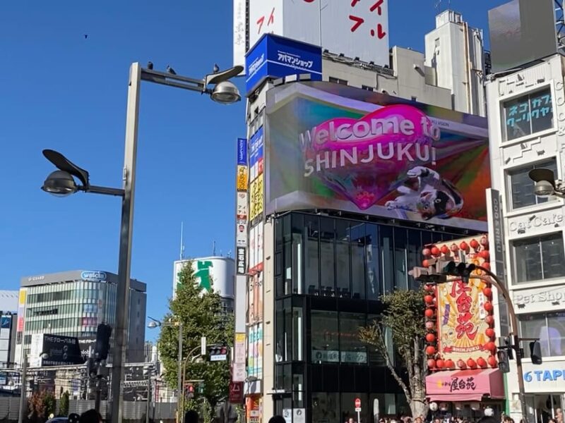 Shinjuku Night: Izakaya Dinner & Kabukicho Red Light Distric - Key Points