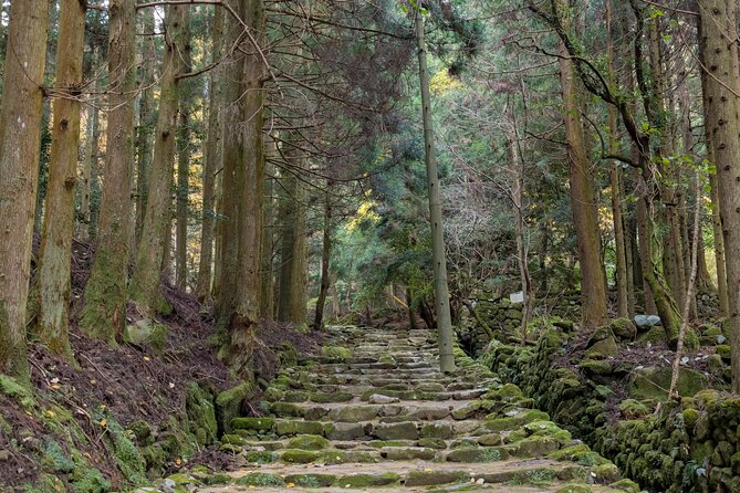 Shinrinyoku Explore the Historic Sites of Shugendo Culture - Health and Accessibility
