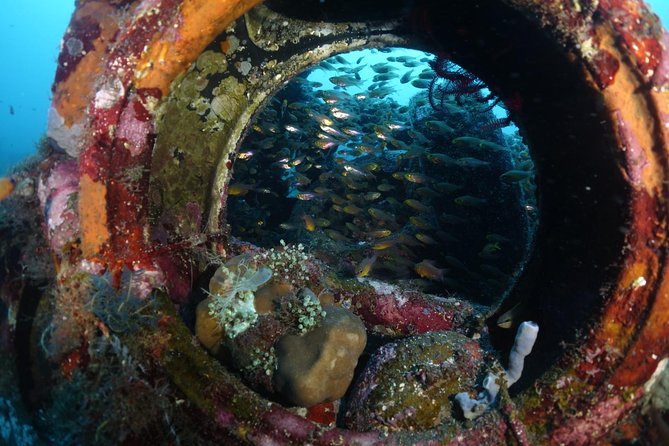 Shipwreck Diving in Tulamben - Good To Know