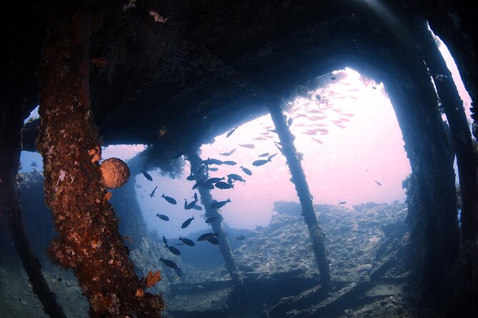 Shipwreck Diving in Tulamben - Trip Details