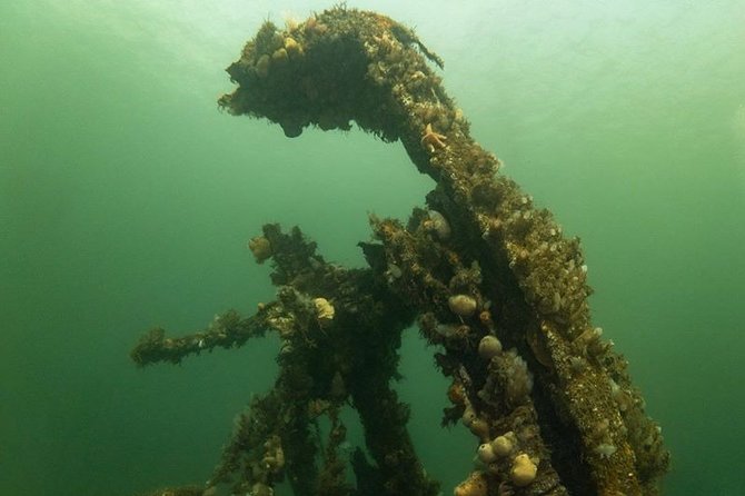 Shipwreck Hunters - Trail of Shipwrecks With an Expert