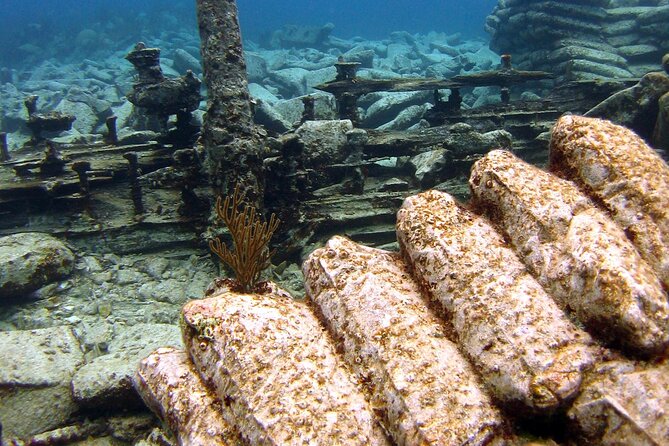 Shipwreck Snorkel in Bermuda - Meeting Point and Logistics