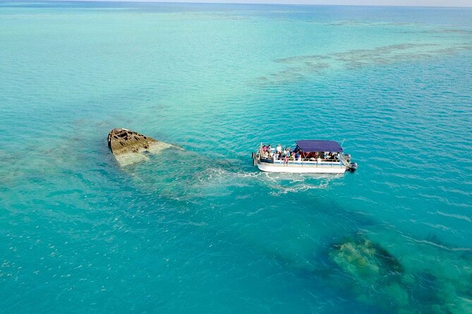 Shipwreck Snorkel in Bermuda - Snorkeling and Marine Life