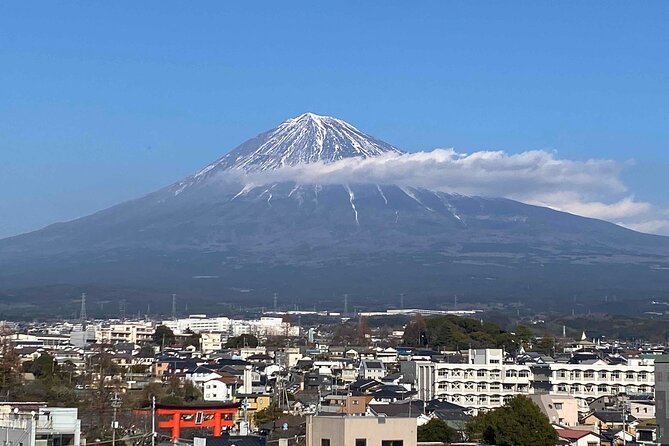 Shiraito Falls and Mt.Fuji Heritage Centre /C-NG - What to Expect