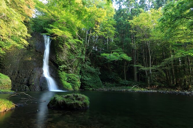 Shirakami Sanchi Day Hike With Government-Licensed Guide - Licensed Local Guide Expertise